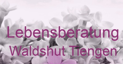 Lebensberatung Waldshut Tiengen | Top-Experten für Kartenlegen, Wahrsagen, Hellsehen, Zukunftsdeutung.